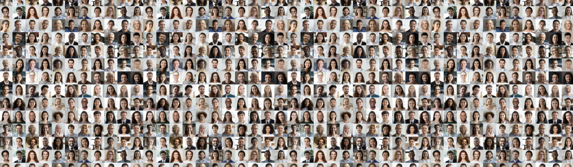 Data audiences Mediahuis